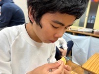 IMG_8531