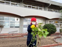 IMG_8750