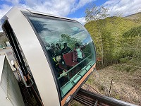 IMG_9227