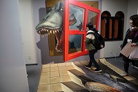 IMG_6780