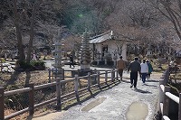 IMG_6833