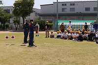 IMG_8238