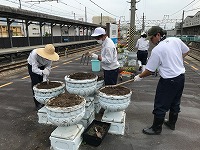 IMG_8783
