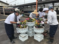 IMG_8790