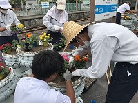 IMG_8798