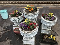 IMG_8809