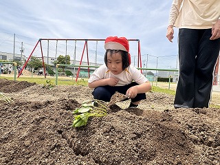IMG_1353 2