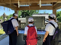 IMG_2531