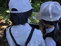 IMG_4445