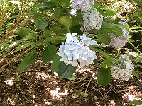 IMG_0189