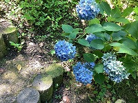 IMG_1096