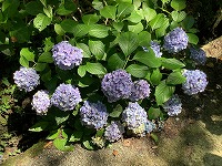IMG_2552