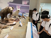 IMG_0684