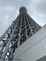 IMG_3819 2