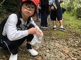 4年