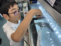 IMG_2588