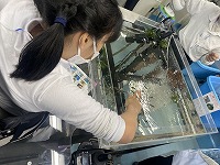 IMG_3242