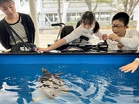 IMG_2572