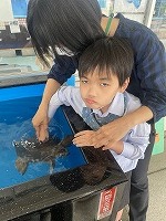 IMG_3234