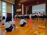 全体