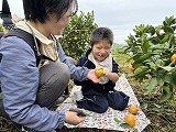 IMG_2950