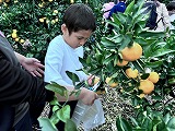 IMG_6469