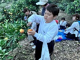 IMG_6439