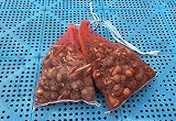 IMG_2396