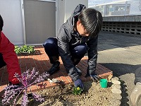 IMG_3336