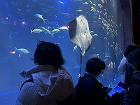 IMG_5790