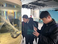 IMG_0534