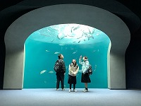 IMG_0276