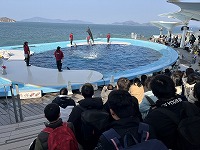 IMG_0472