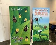 IMG_4135 3