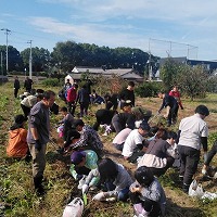 imohori