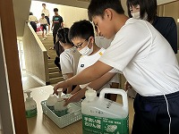 IMG_3785