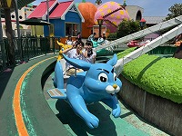 IMG_2982