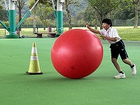 IMG_4381