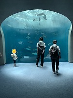 IMG_0486