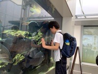IMG_0096