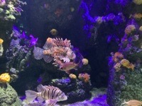 IMG_0070