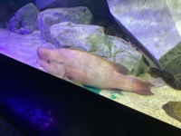 IMG_0081
