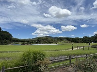 IMG_2137