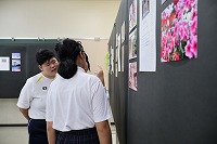 IMG_1368