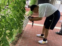 IMG_0300
