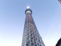 100_0246