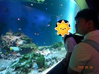DSC00756.pngkoip-
