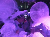 s-IMG_6572