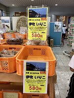 IMG_0983