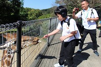 IMG_7192